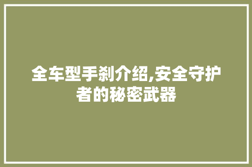 全车型手刹介绍,安全守护者的秘密武器