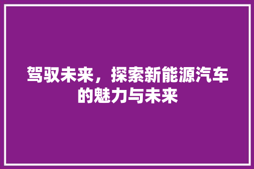 驾驭未来，探索新能源汽车的魅力与未来