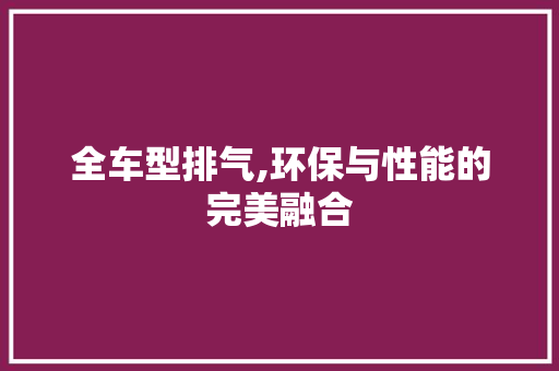 全车型排气,环保与性能的完美融合