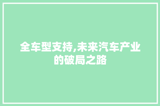 全车型支持,未来汽车产业的破局之路