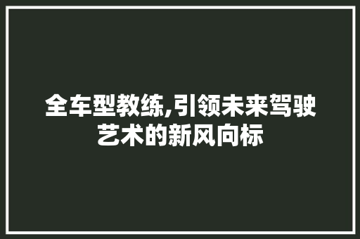 全车型教练,引领未来驾驶艺术的新风向标