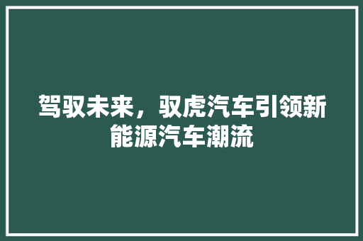 驾驭未来，驭虎汽车引领新能源汽车潮流