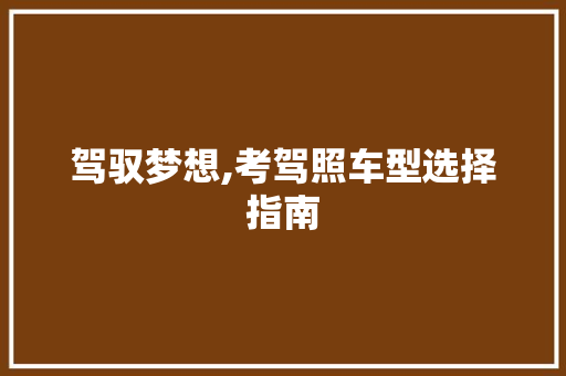 驾驭梦想,考驾照车型选择指南