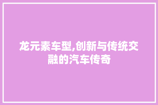 龙元素车型,创新与传统交融的汽车传奇