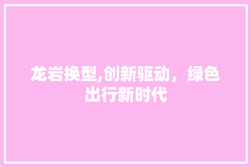龙岩换型,创新驱动，绿色出行新时代