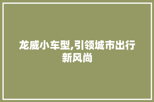龙威小车型,引领城市出行新风尚 车身配件
