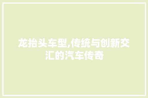 龙抬头车型,传统与创新交汇的汽车传奇