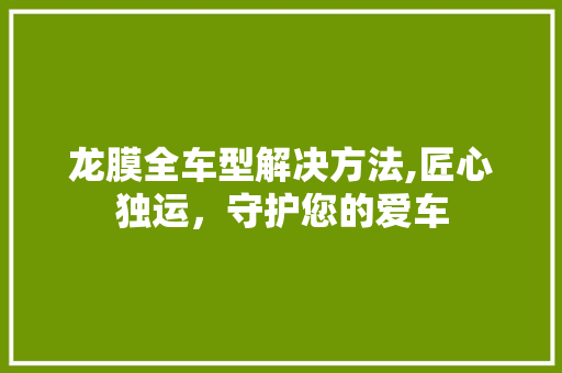 龙膜全车型解决方法,匠心独运，守护您的爱车