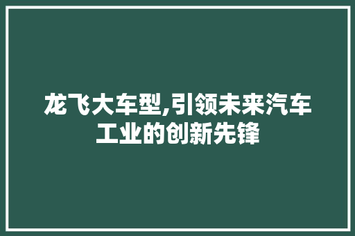 龙飞大车型,引领未来汽车工业的创新先锋 变速箱配件