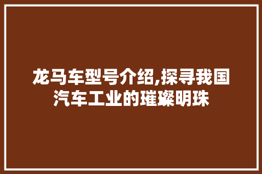 龙马车型号介绍,探寻我国汽车工业的璀璨明珠 蓄电池配件