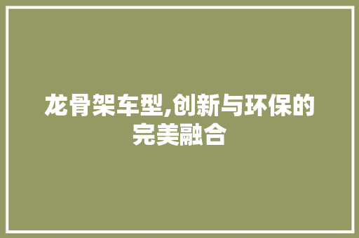 龙骨架车型,创新与环保的完美融合 车身配件