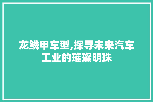 龙鳞甲车型,探寻未来汽车工业的璀璨明珠 蓄电池配件