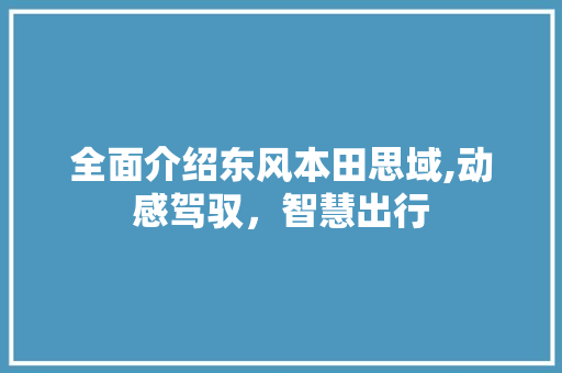 全面介绍东风本田思域,动感驾驭，智慧出行