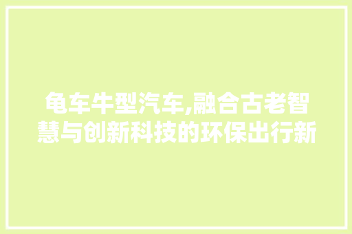 龟车牛型汽车,融合古老智慧与创新科技的环保出行新宠 蓄电池配件