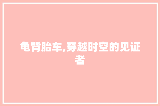龟背胎车,穿越时空的见证者 车身配件