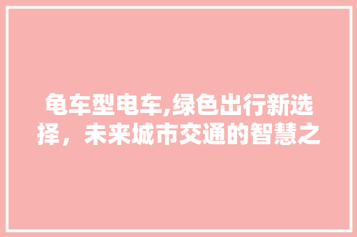 龟车型电车,绿色出行新选择，未来城市交通的智慧之选 新能源汽车
