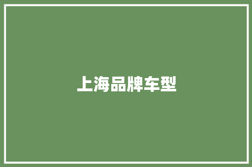 上海品牌车型