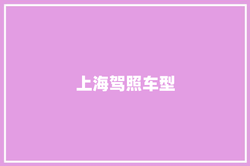 上海驾照车型