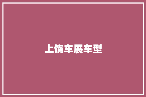 上饶车展车型