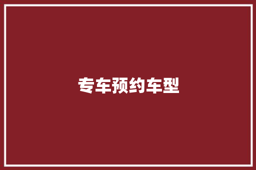 专车预约车型