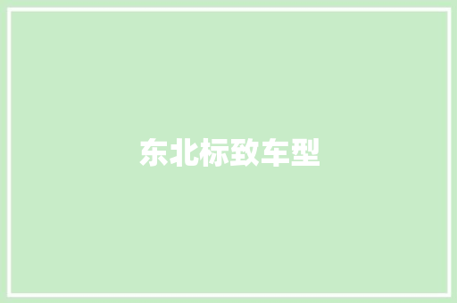 东北标致车型