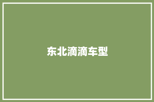 东北滴滴车型