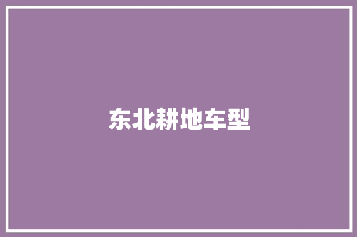 东北耕地车型