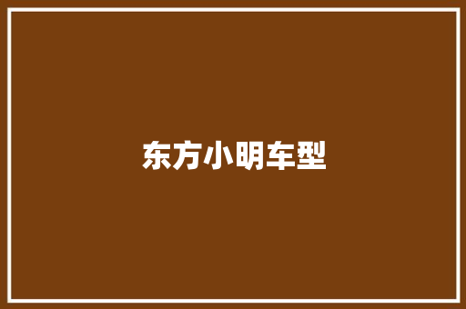 东方小明车型