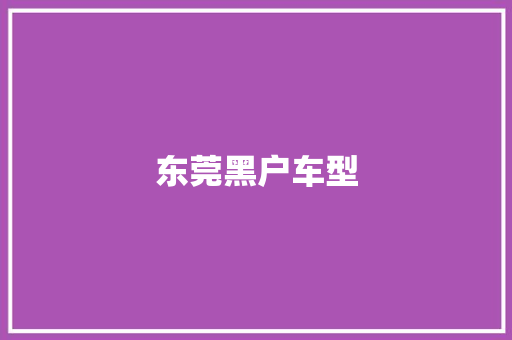 东莞黑户车型