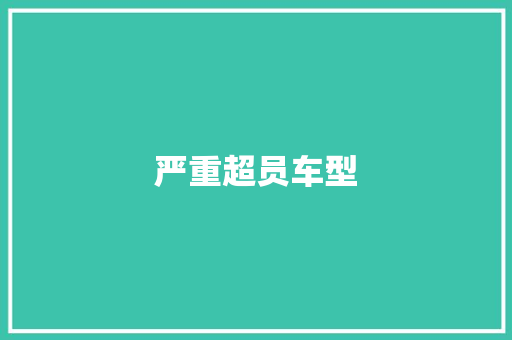严重超员车型