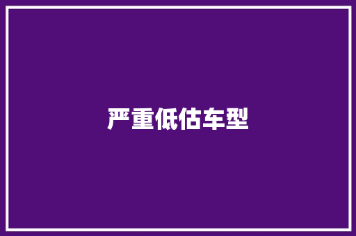 严重低估车型