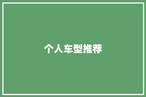 个人车型推荐