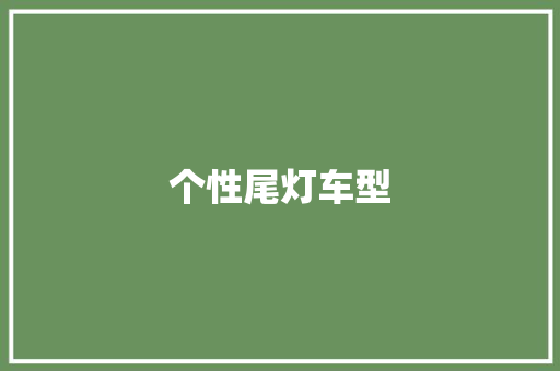 个性尾灯车型