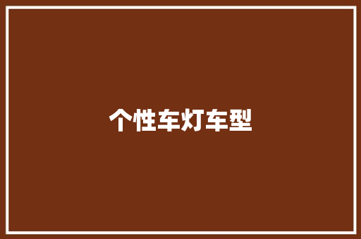 个性车灯车型