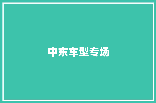 中东车型专场