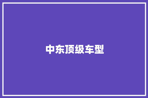 中东顶级车型