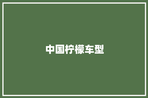 中国柠檬车型