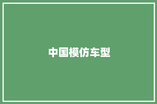 中国模仿车型