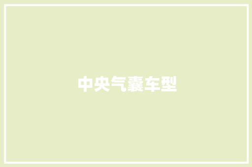 中央气囊车型