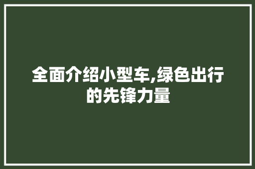 全面介绍小型车,绿色出行的先锋力量