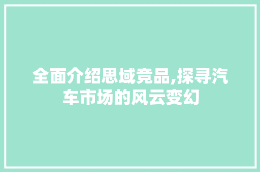 全面介绍思域竞品,探寻汽车市场的风云变幻