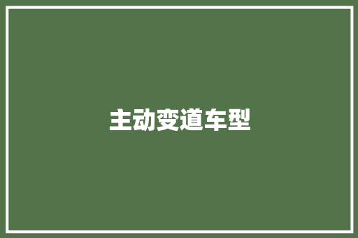 主动变道车型