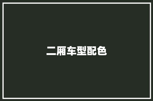 二厢车型配色