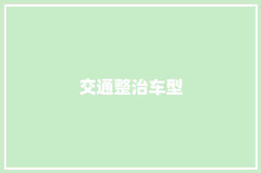 交通整治车型