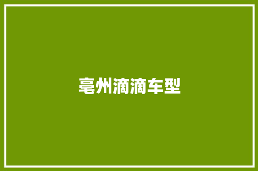 亳州滴滴车型