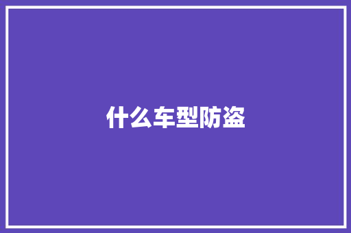 什么车型防盗