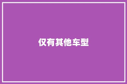 仅有其他车型