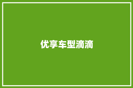 优享车型滴滴