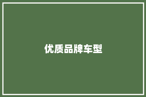 优质品牌车型