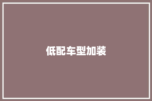 低配车型加装